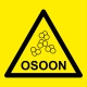 Osoon
